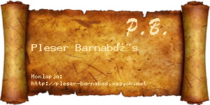 Pleser Barnabás névjegykártya